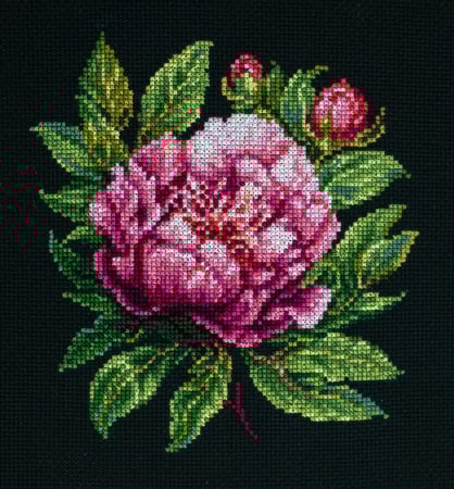 Set de brodat in cruciulita cu gherghef, Bujor Peter Brand, 12x13 cm [1]
