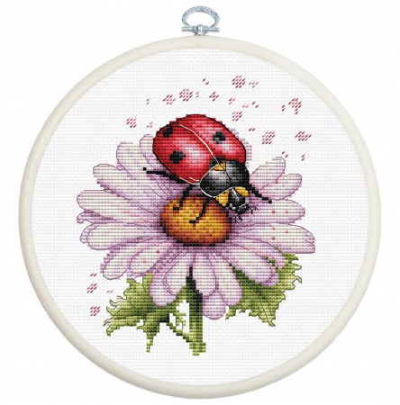 Broderie in cruciulita - Set de brodat in cruciulita cu gherghef, Floare de camp, 11 x 13.5 cm