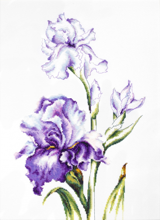 Broderie in cruciulita - Set de brodat in cruciulita, Irisi, 24x38 cm