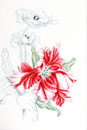 Broderie in cruciulita - Set de brodat in cruciulita, Lalea rosie 23,5x34,5 cm