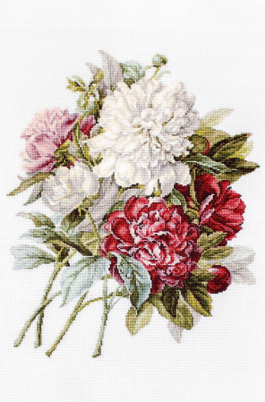 Broderie in cruciulita - Set de brodat in cruciulita, Bujori, 22.5x28.5cm