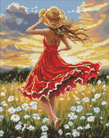 Set goblen cu diamante, cu sasiu, Dans pe camp, 40x50 cm [0]