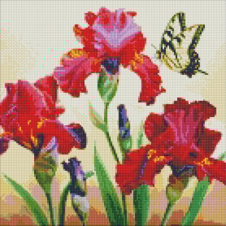 Goblenuri cu diamante cu sasiu - Set goblen cu diamante AB, cu sasiu, Irisi, 40x40 cm