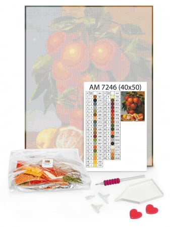 Set goblen cu diamante, cu sasiu, Plimbare in camp de flori, 40x50 cm [1]