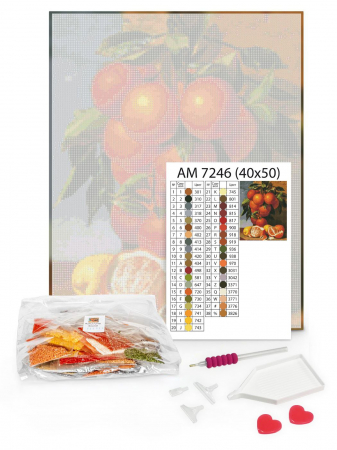 Set goblen cu diamante, cu sasiu, Balerina cu bujori rosii, 40x50 cm [1]