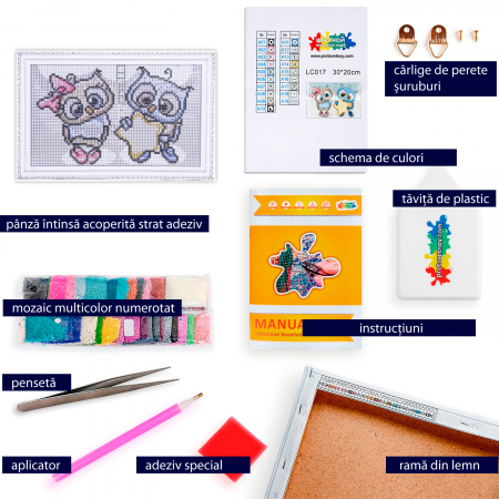 Set goblen cu diamante, cu sasiu, Baby Star [4]