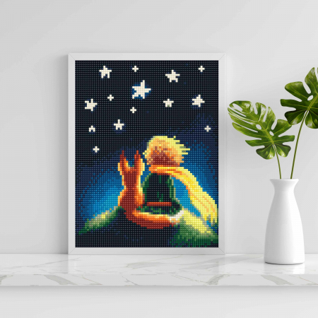 Set goblen cu diamante, cu sasiu, Micul print, 20x30 cm [3]