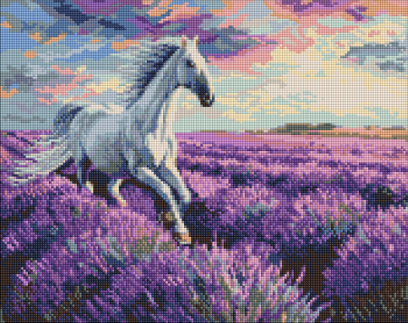 Goblenuri cu diamante - Set goblen cu diamante, cu sasiu, Galop in campul de lavanda, 40x50 cm