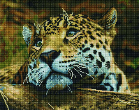 Set goblen cu diamante, cu sasiu, Leopard bland 40x50 cm [0]