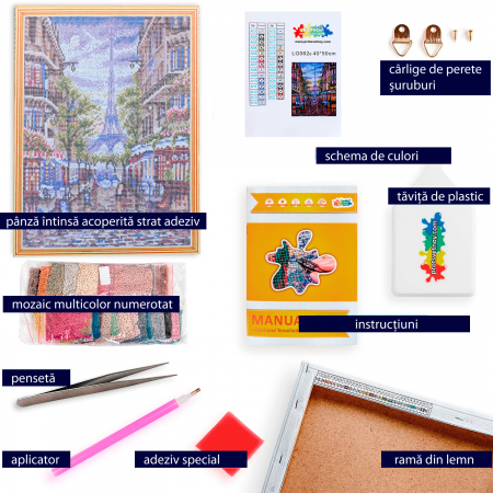 Set goblen cu diamante, cu sasiu, Paris [4]