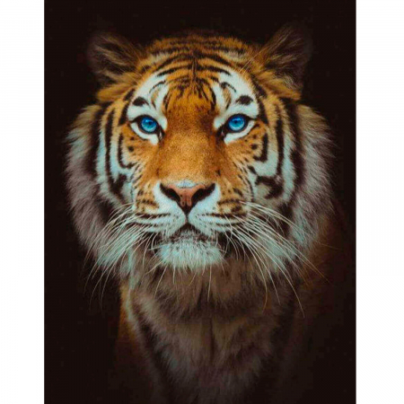 Goblen cu diamante, Lord, 40x50 cm [0]
