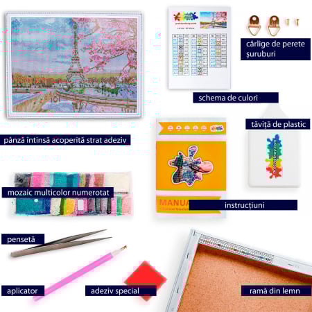 Set goblen cu diamante, cu sasiu, Paris in Blossom [1]