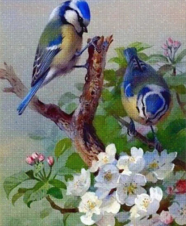 Goblenuri cu diamante - Set goblen cu diamante, cu sasiu, Pitigoi pe ramuri, 40x50 cm