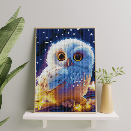 Set goblen cu diamante, cu sasiu, Pui de bufnita, 30x40 cm [3]