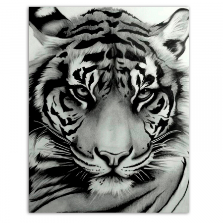 Goblen cu Diamante, cu sasiu, Privire inteleapta, 40x50 cm [0]