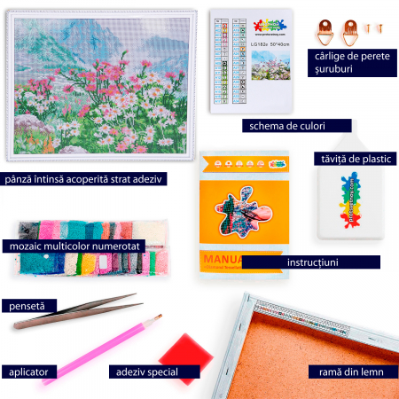 Goblen cu diamante, cu sasiu, Camp de Primavara [2]