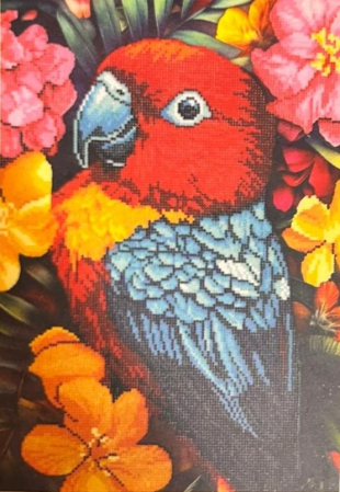 Goblenuri cu diamante fara sasiu - Set goblen cu diamante, fara sasiu, Papagal, 40x60 cm