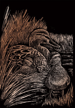 Set gravura folie cupru, Rate [0]