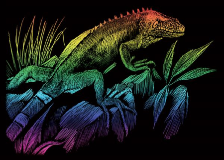 Set gravura folie curcubeu, Iguana, A5 [0]