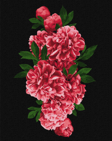 Set pictura pe numele, cu sasiu, Bujori rosii, 40x50 cm [0]