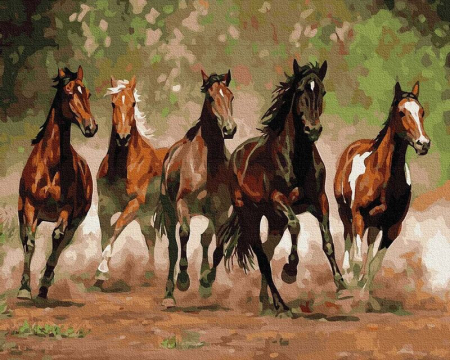 Set pictura pe numele, cu sasiu, Galop, 40x50 cm [0]