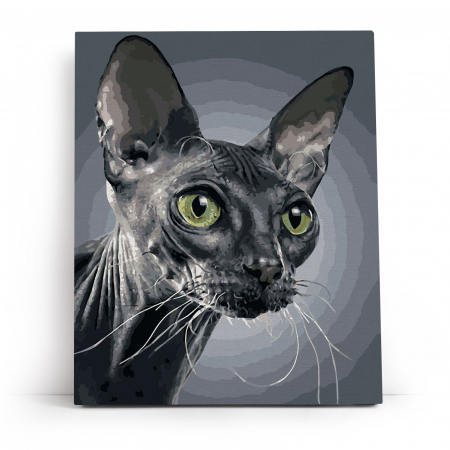Set pictura pe numere, cu sasiu, Sfinx, 40x50 cm [1]
