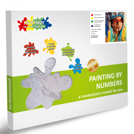 Pictura pe Numere, cu sasiu, Amerindianca, 40x5o [6]