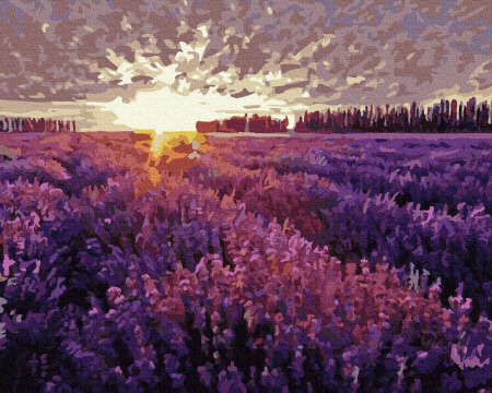 Set pictura pe numere, cu sasiu, Apus peste campul de lavanda, 40x50 cm [0]