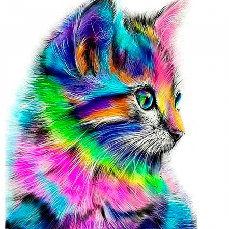 Pictura pe numere, cu sasiu, Colourful Kitten [0]
