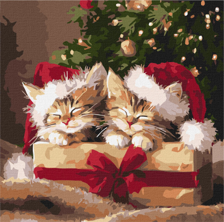 Dimensiuni medii si mici - Set pictura pe numere, cu sasiu, Cadouri pufoase, 40x40 cm