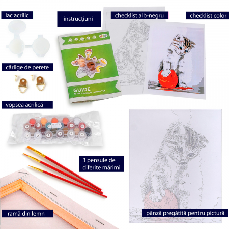 Set pictura pe numere, cu sasiu, Pisoi [3]