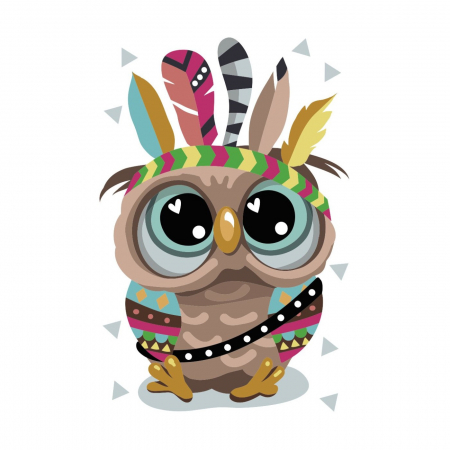 Pictura pe numere, cu sasiu, Bufnita indiana, 20x30 [0]