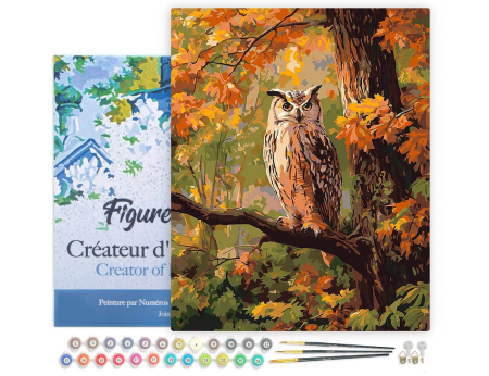 Set pictura pe numere, cu sasiu, Bufnita printre frunze ruginii, 40x50 cm [1]