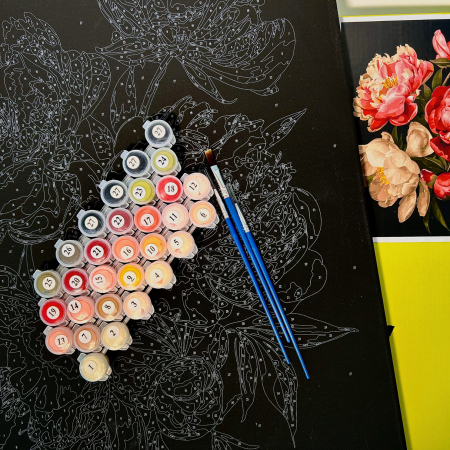 Set pictura pe numere, cu sasiu, Bujori 1 - canvas negru, 40x50 cm [5]