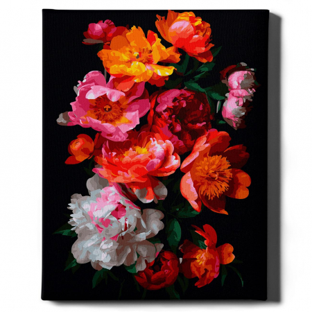 Set pictura pe numere, cu sasiu, Bujori 4 - canvas negru, 40x50 cm [1]