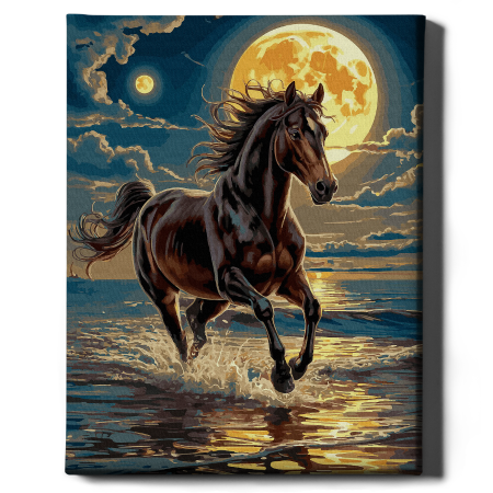 Set pictura pe numere, cu sasiu, Galop in noapte, 40x50 cm [1]