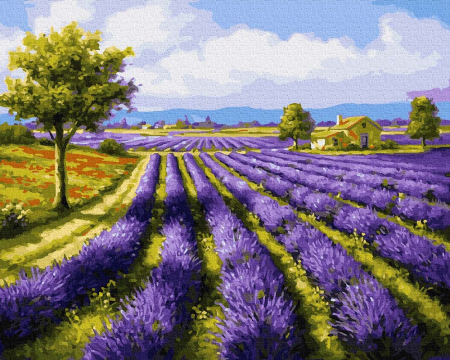Set pictura pe numere, cu sasiu, Camp de lavanda, 40x50 cm [0]