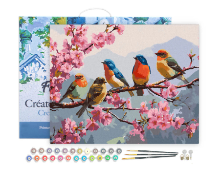 Set pictura pe numere, cu sasiu,Triluri de primavara, 40x50 cm [1]