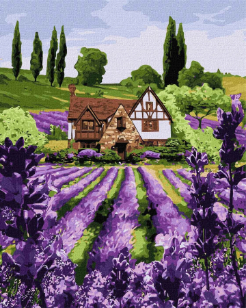 Picturi pe numere - Set pictura pe numere, cu sasiu, Casa cu levantica, 40x50 cm