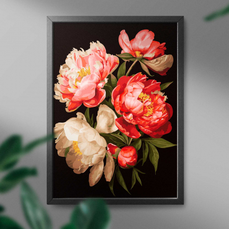Set pictura pe numere, cu sasiu, Bujori 1 - canvas negru, 40x50 cm [3]