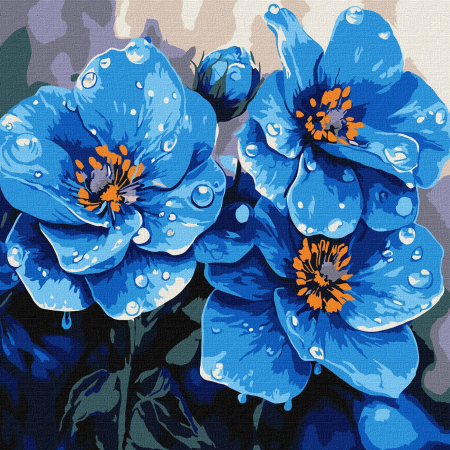 Dimensiuni medii si mici - Set pictura pe numere, cu sasiu, Violete dimineata, 30x30 cm