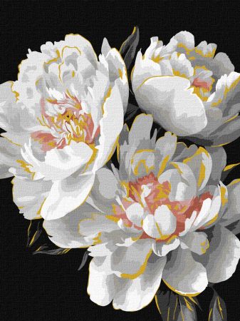 Picturi pe numere - Set pictura pe numere, cu sasiu, Bujori albi - extra culori metalizate, 30x40 cm