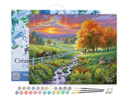 Set pictura pe numere, cu sasiu, Pasune insorita, 40x50 cm [1]