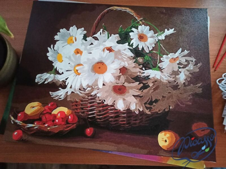 Set pictura pe numere, cu sasiu, Cos cu margarete, 40x50 cm [3]