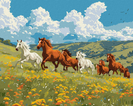 Set pictura pe numere, cu sasiu, Putere si eleganta, 40x50 cm [0]