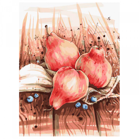 Pictura pe numere, cu sasiu, Natura Moarta cu Pere [0]