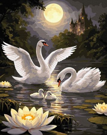 Picturi pe numere - Set pictura pe numere, cu sasiu, Dans de lebede, 40x50 cm