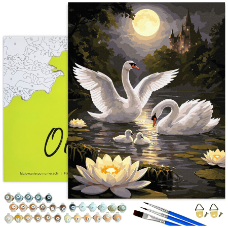Set pictura pe numere, cu sasiu, Dans de lebede, 40x50 cm [1]