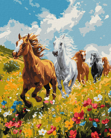 Set pictura pe numere, cu sasiu, Armonie pe camp, 40x50 cm