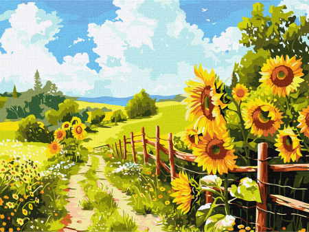 Picturi pe numere dimensiuni mici și medii – ușor de realizat, perfecte pentru orice spațiu - Set pictura pe numere, cu sasiu, Drum prin floarea soarelui, 30x40 cm
